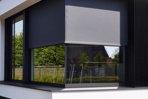 Panovista Max | Renson